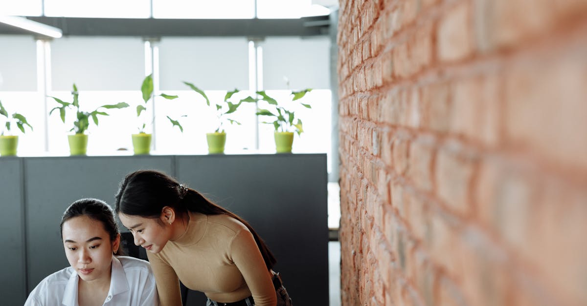 畅柳app详情下载教程